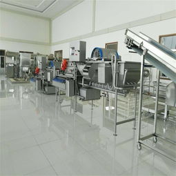 凈菜加工線 定制果蔬切割清洗加工流水線 價格低質量好