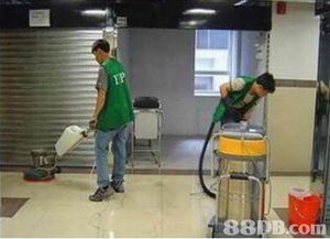 yip cleaning service co提供樓宇清潔 裝修后清潔 地板打臘等服務 household cleaning pest control