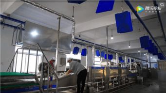 開個餐具清洗廠賺錢嗎 洗碗機廠家給你算算賬